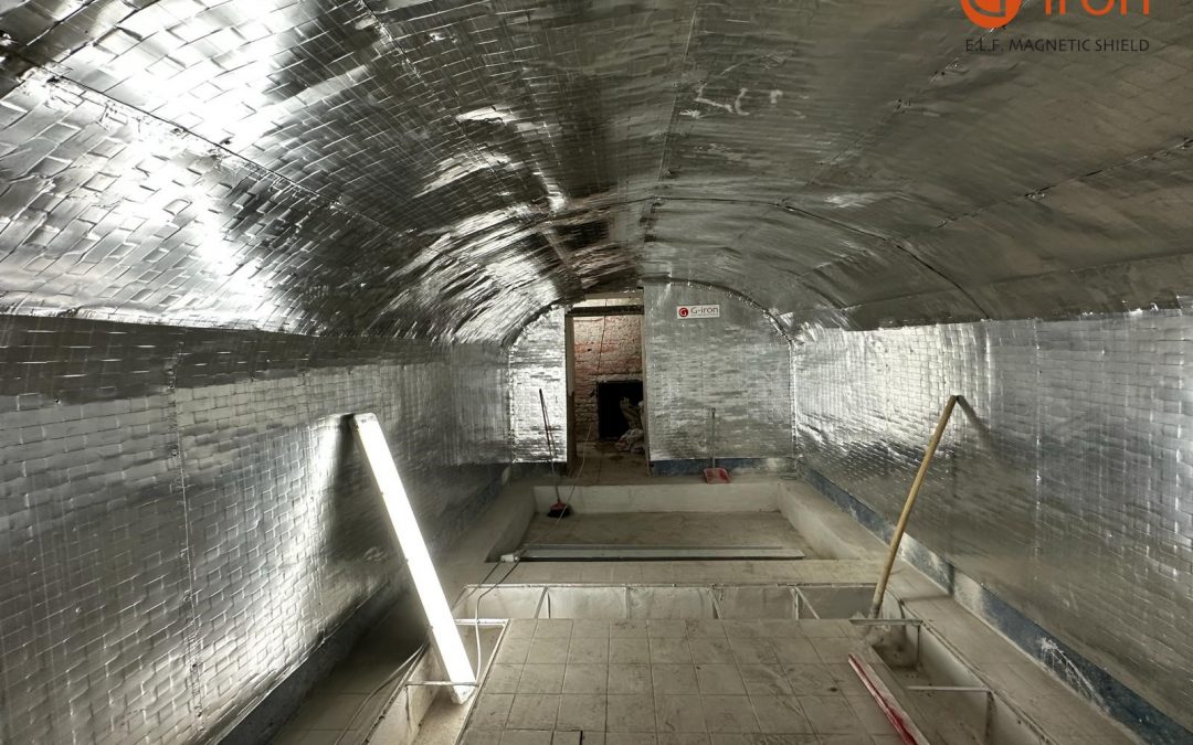 In equilibrio tra antico e moderno: G-iron a Palazzo Raggi